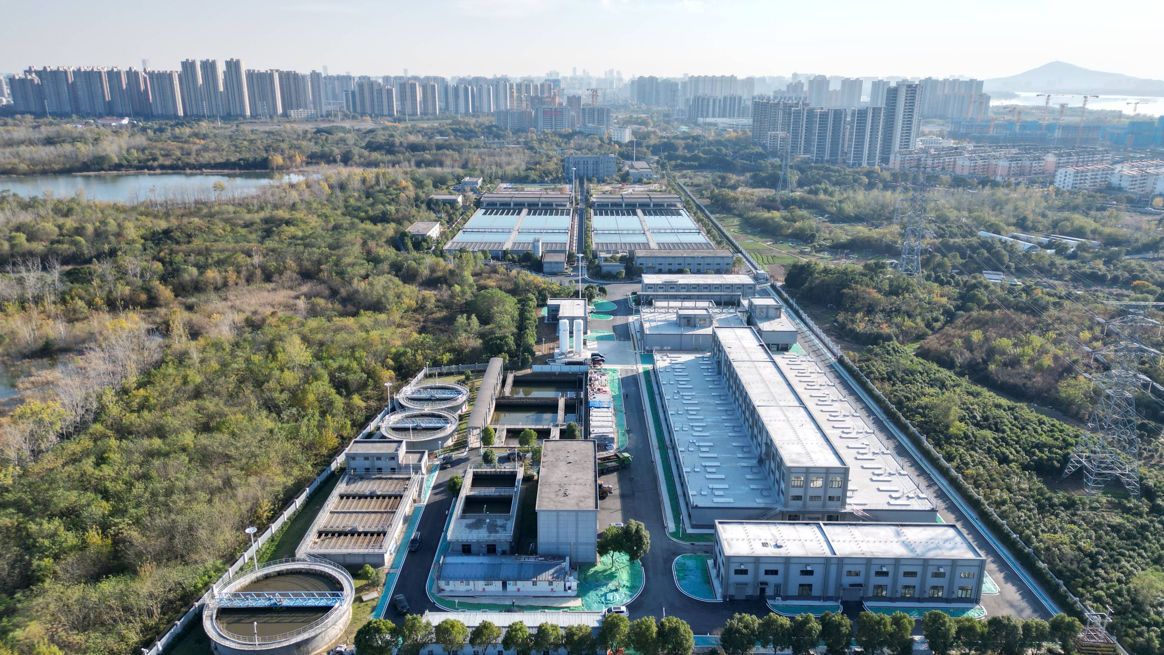 绍兴市合肥专业企业价值增长(合肥市重点企业产业目录)
