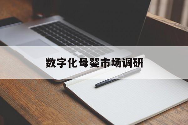 绍兴市数字化母婴市场调研(数字化母婴市场调研报告)